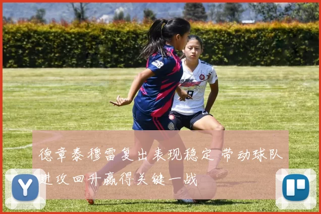 德章泰穆雷复出表现稳定 带动球队进攻回升赢得关键一战