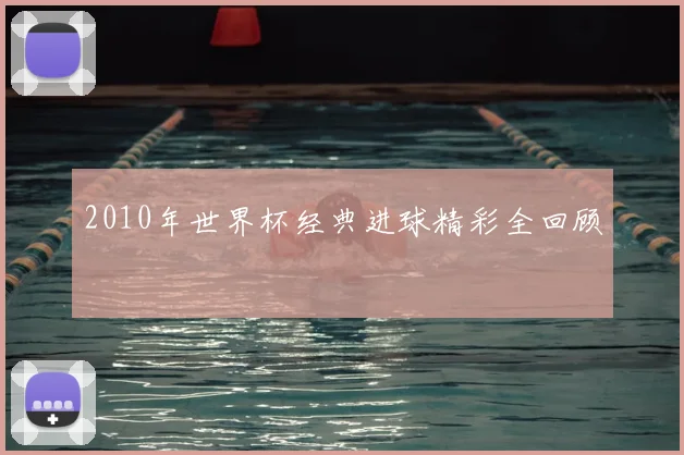 2010年世界杯经典进球精彩全回顾